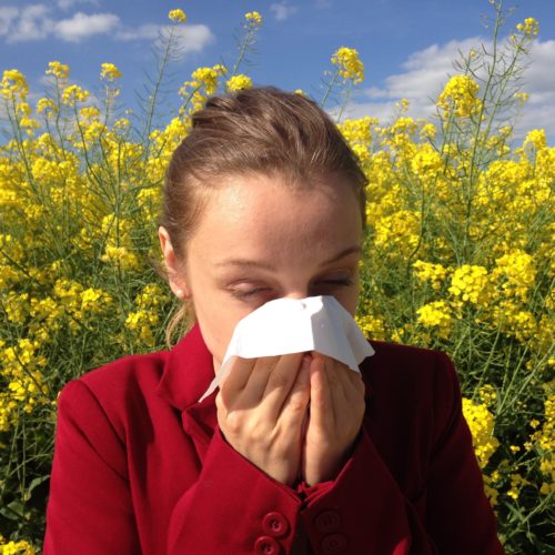 Il soft computing per investigare le allergie