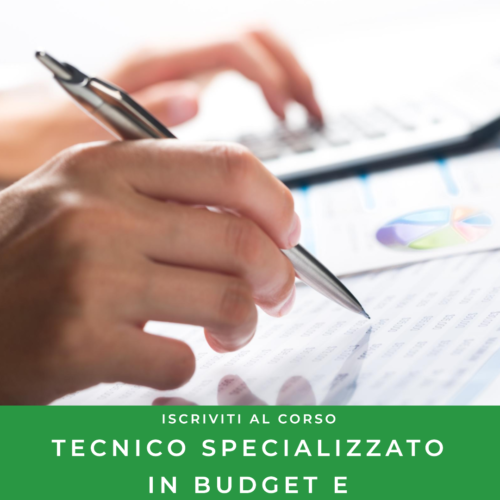 Tecnico specializzato in budget e controllo di gestione